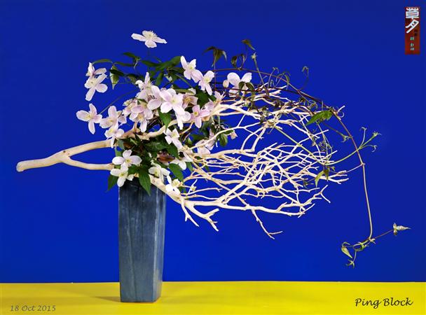 Ikebana with Ping - Gallery